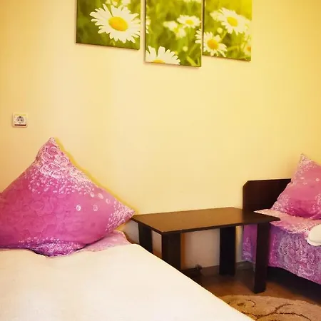 Хостел В Карпатах Penzion *