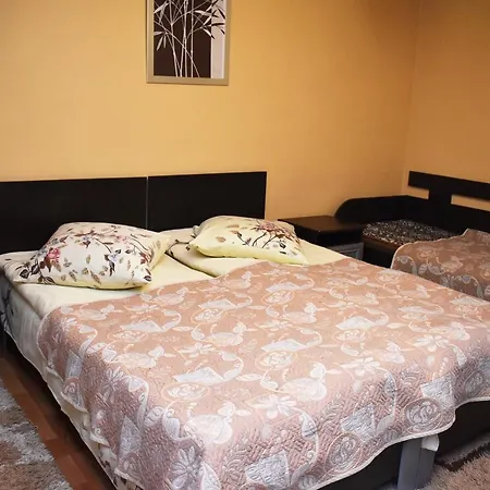 Хостел В Карпатах Penzion *